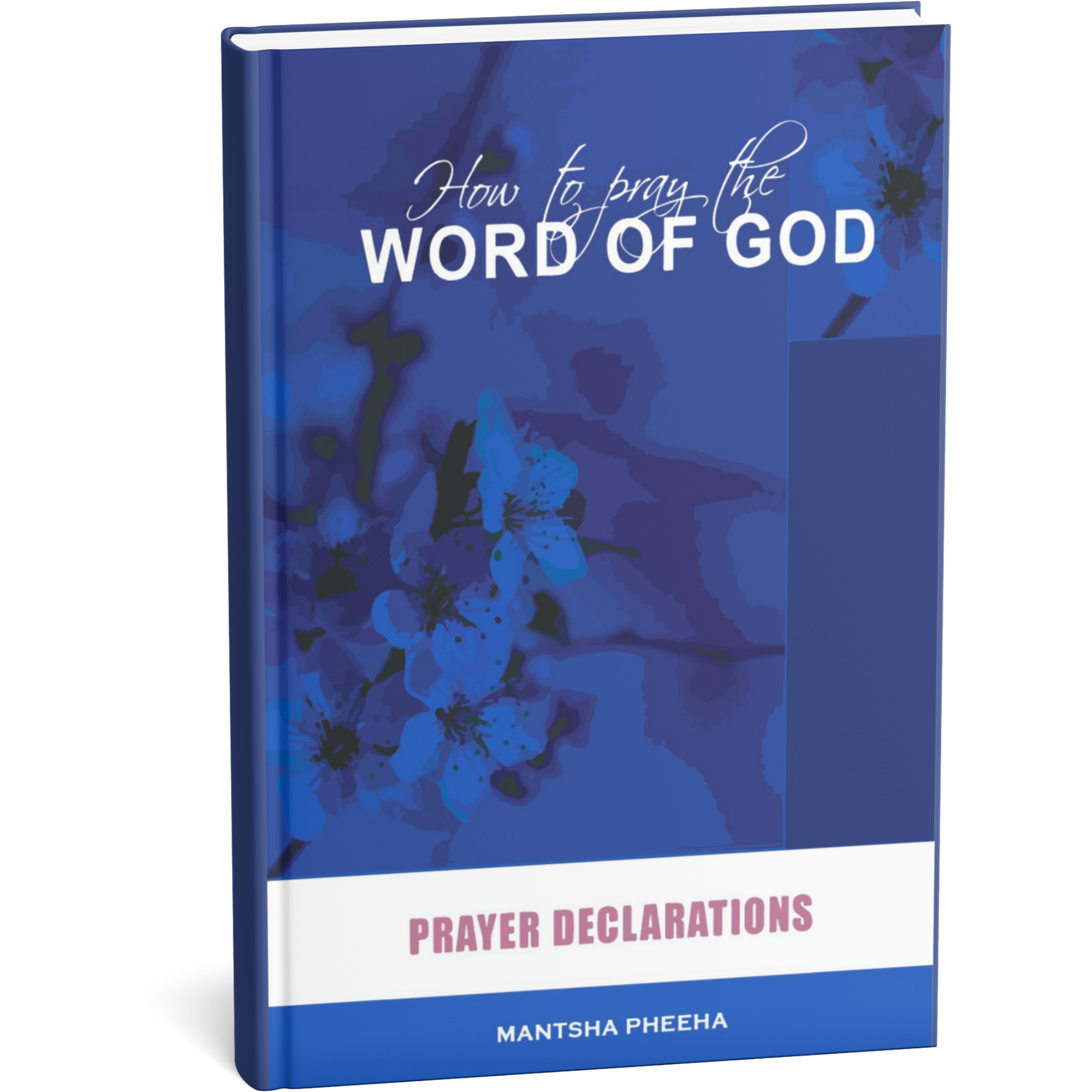 How to Pray the Word of God